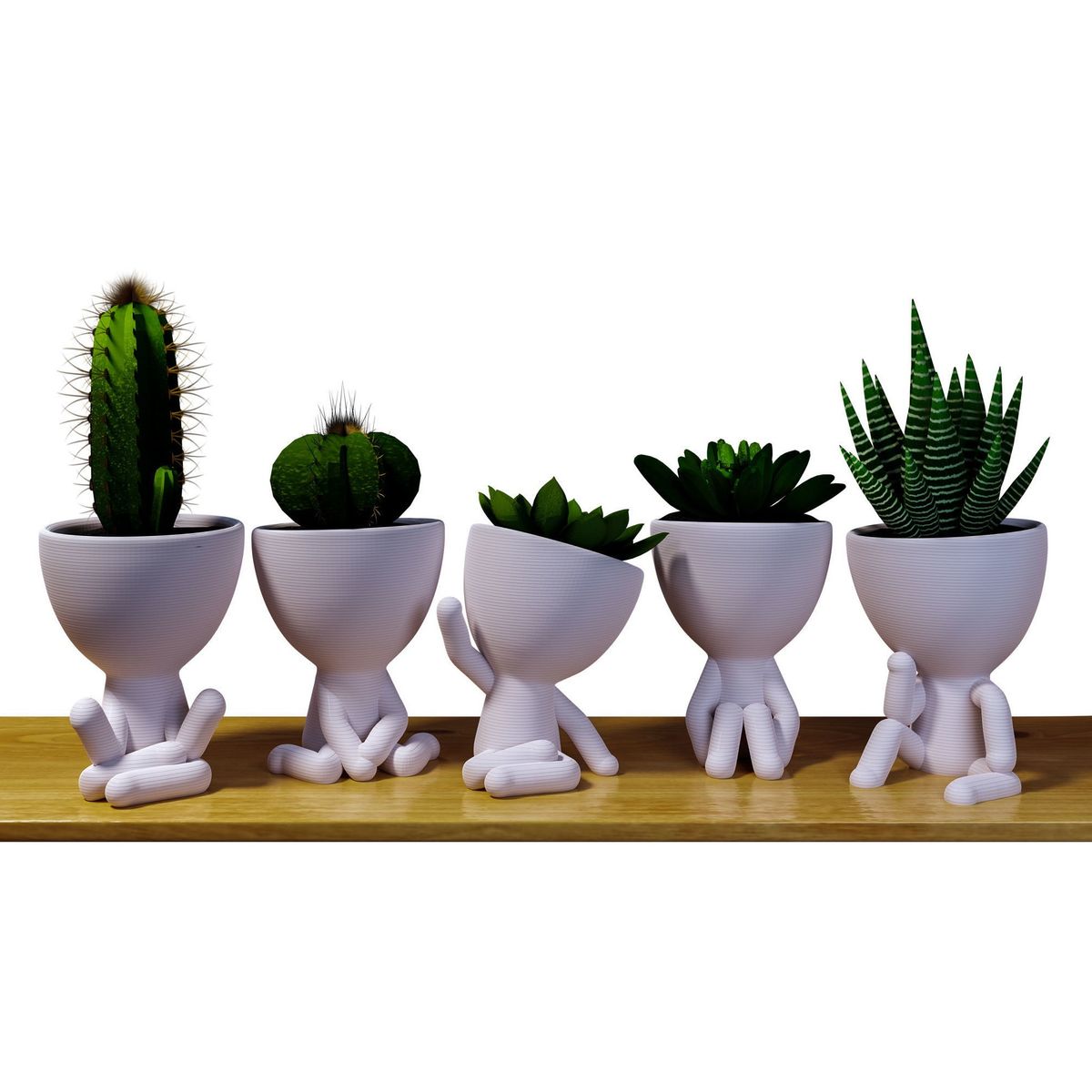 GENERICO - Pack 5 Maceteros Robert Plant Para Cactus O Suculentas