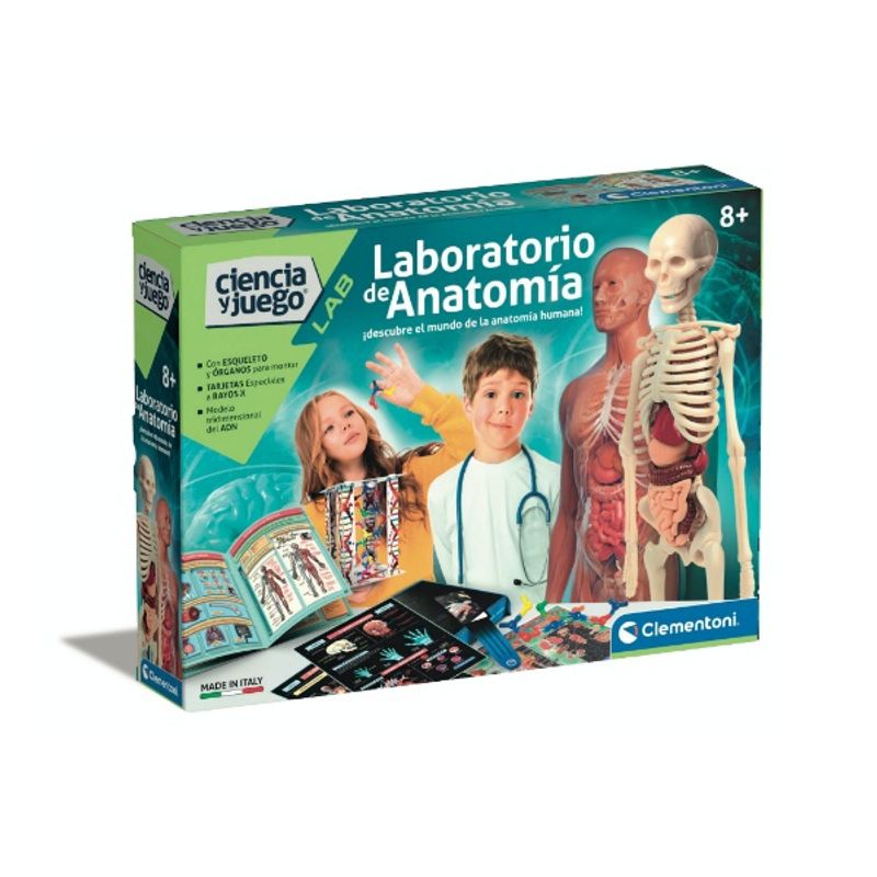 CLEMENTONI - Laboratorio Anatomia