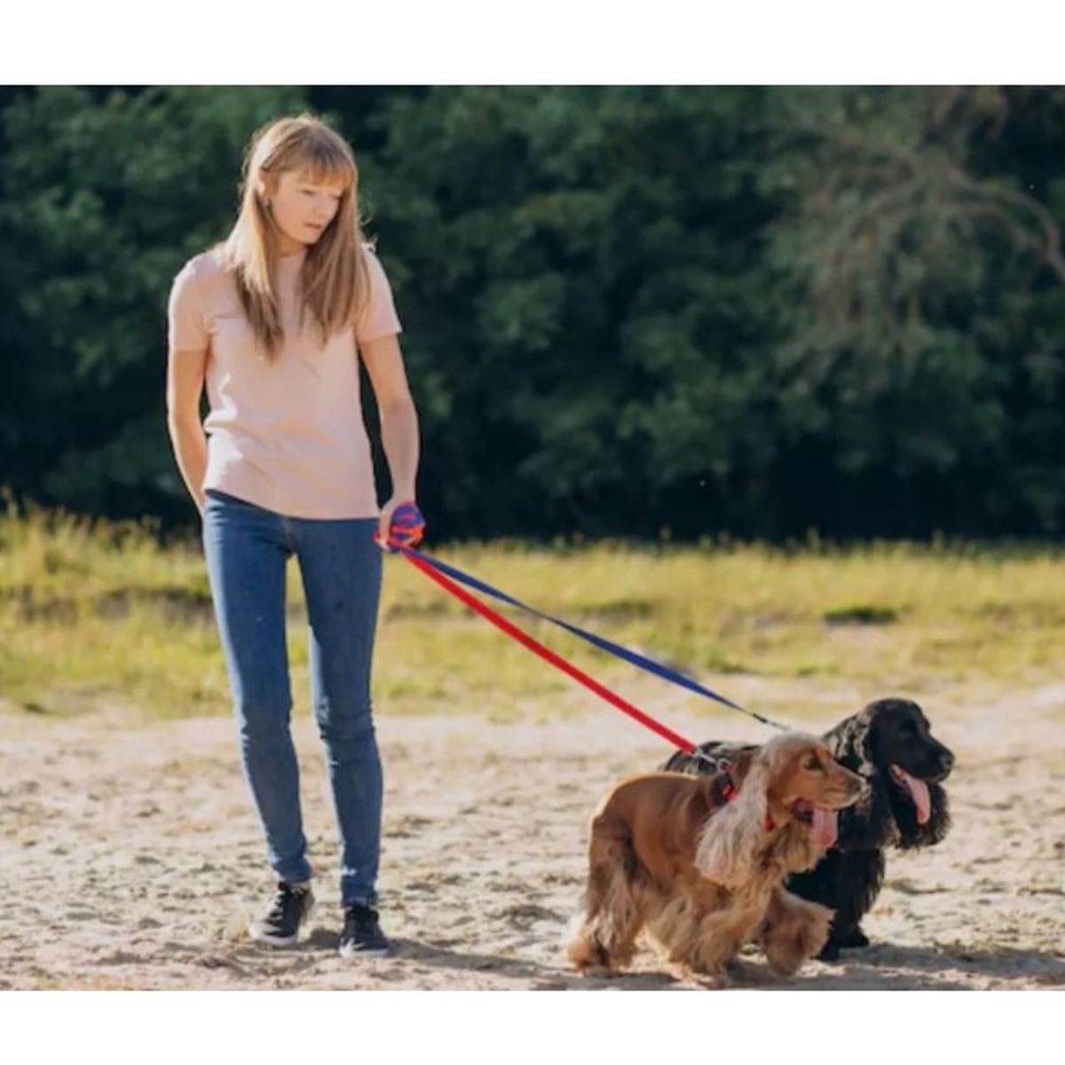 GENERICO - Correa Plana Larga Resistente Para Perros 15mts X 38cm