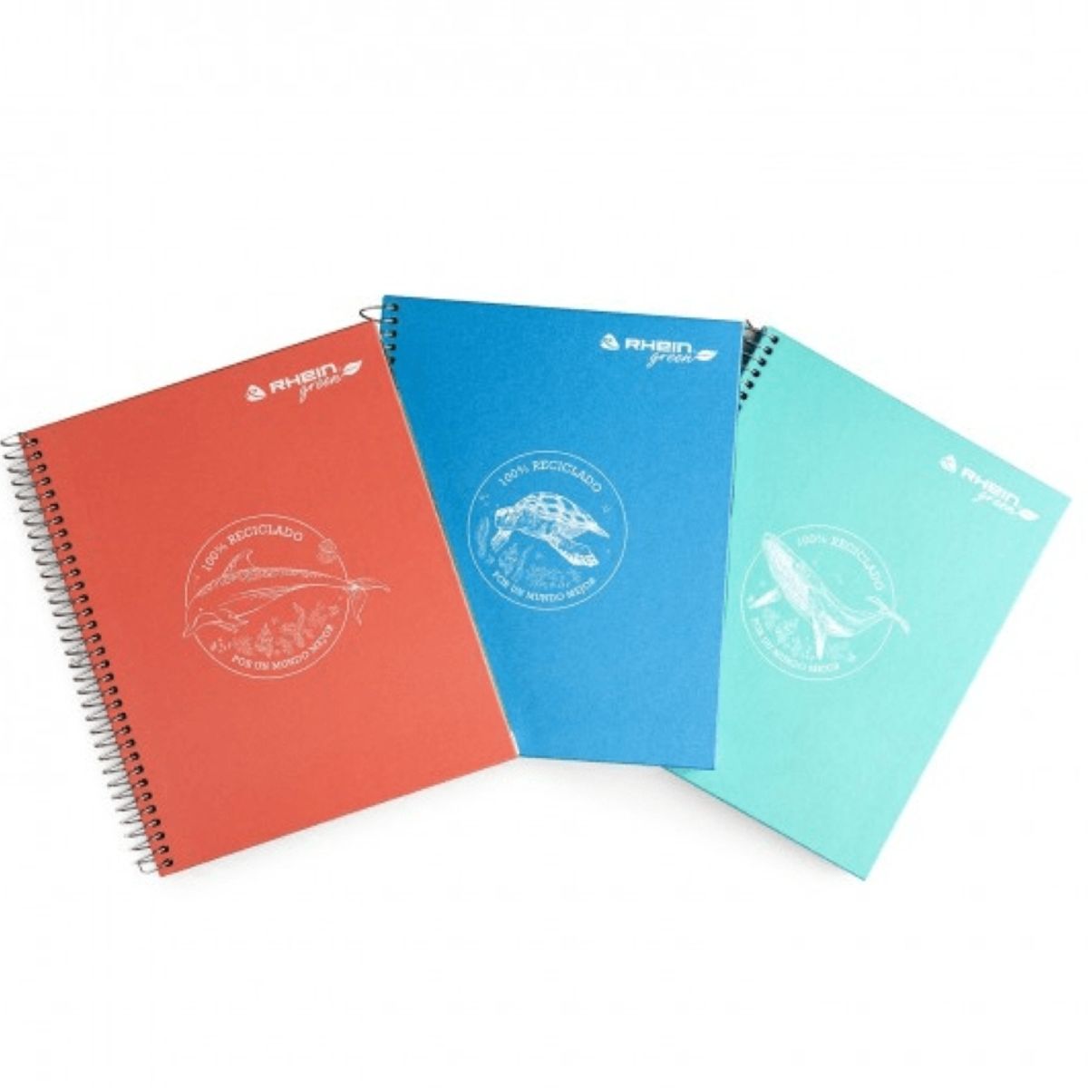 RHEIN - Pack 5 Cuadernos Eco Color Carta 150 Hojas Tapa Dura