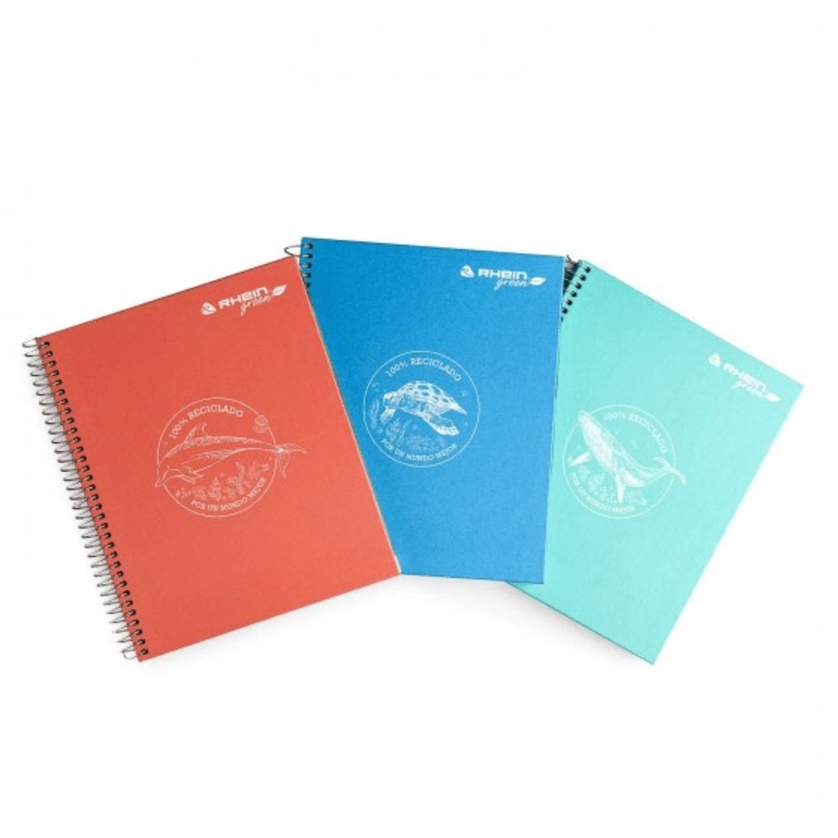 RHEIN - Pack 5 Cuadernos Eco Color Carta 150 Hojas Tapa Dura