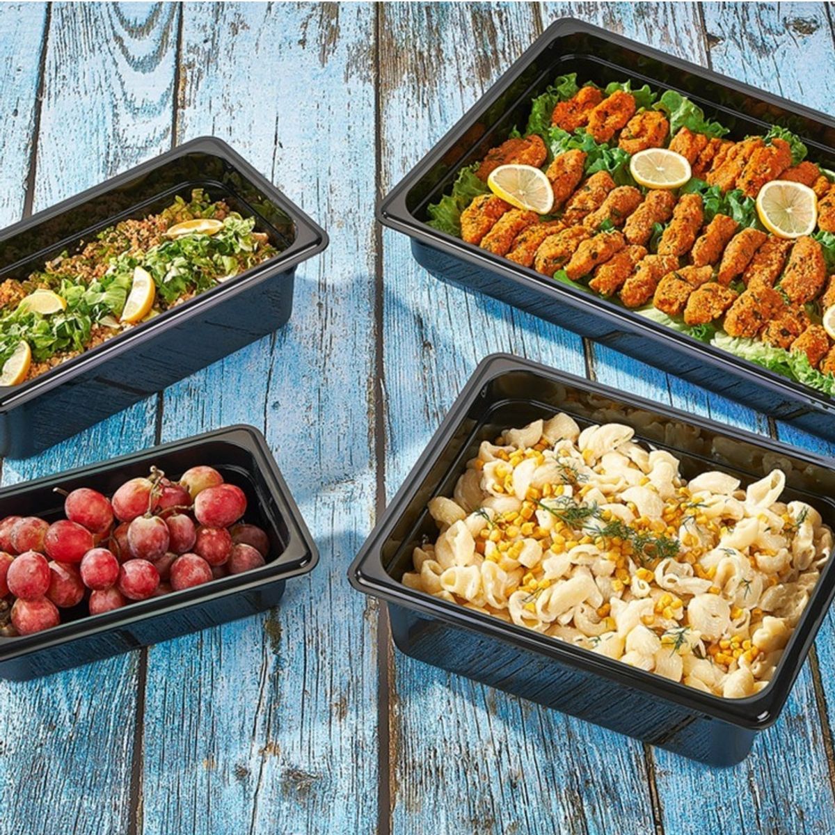 IMAHE - CONTENEDOR POLICARBONATO NEGRO 1/3x15 CM IMAHE