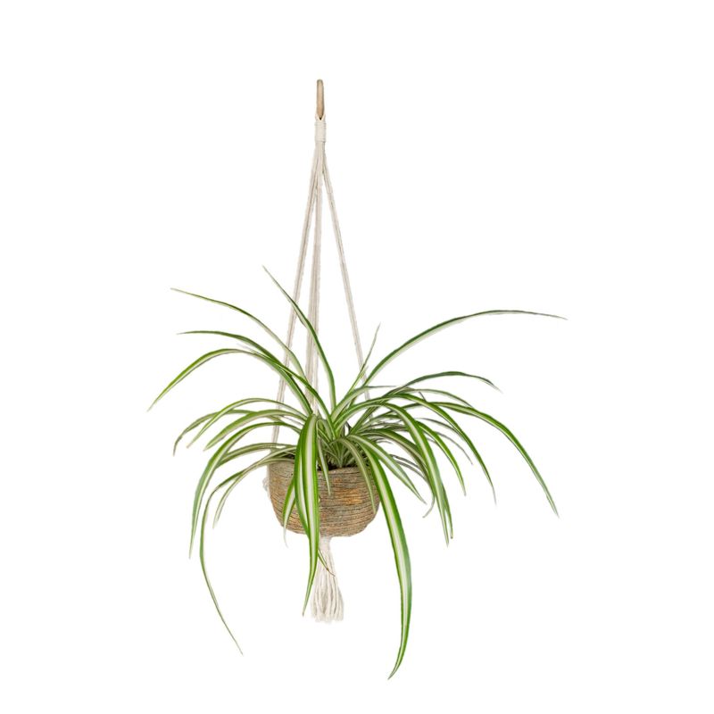 MACRAKO - Colgante de Macramé para tus macetas simple 120 cm