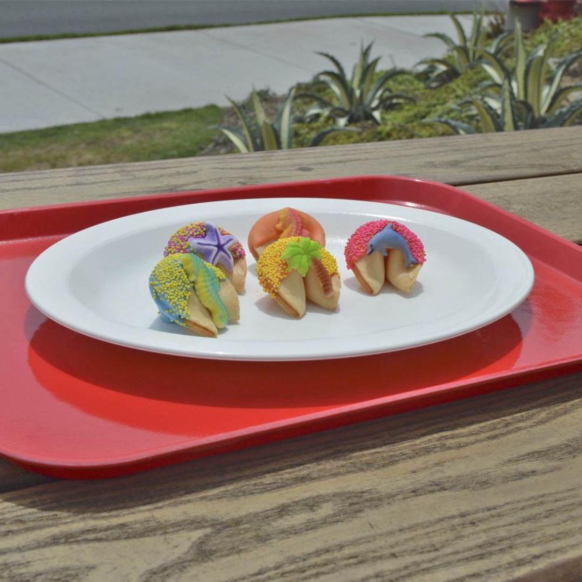 CAMBRO - BANDEJA LIGERA CAMBRO