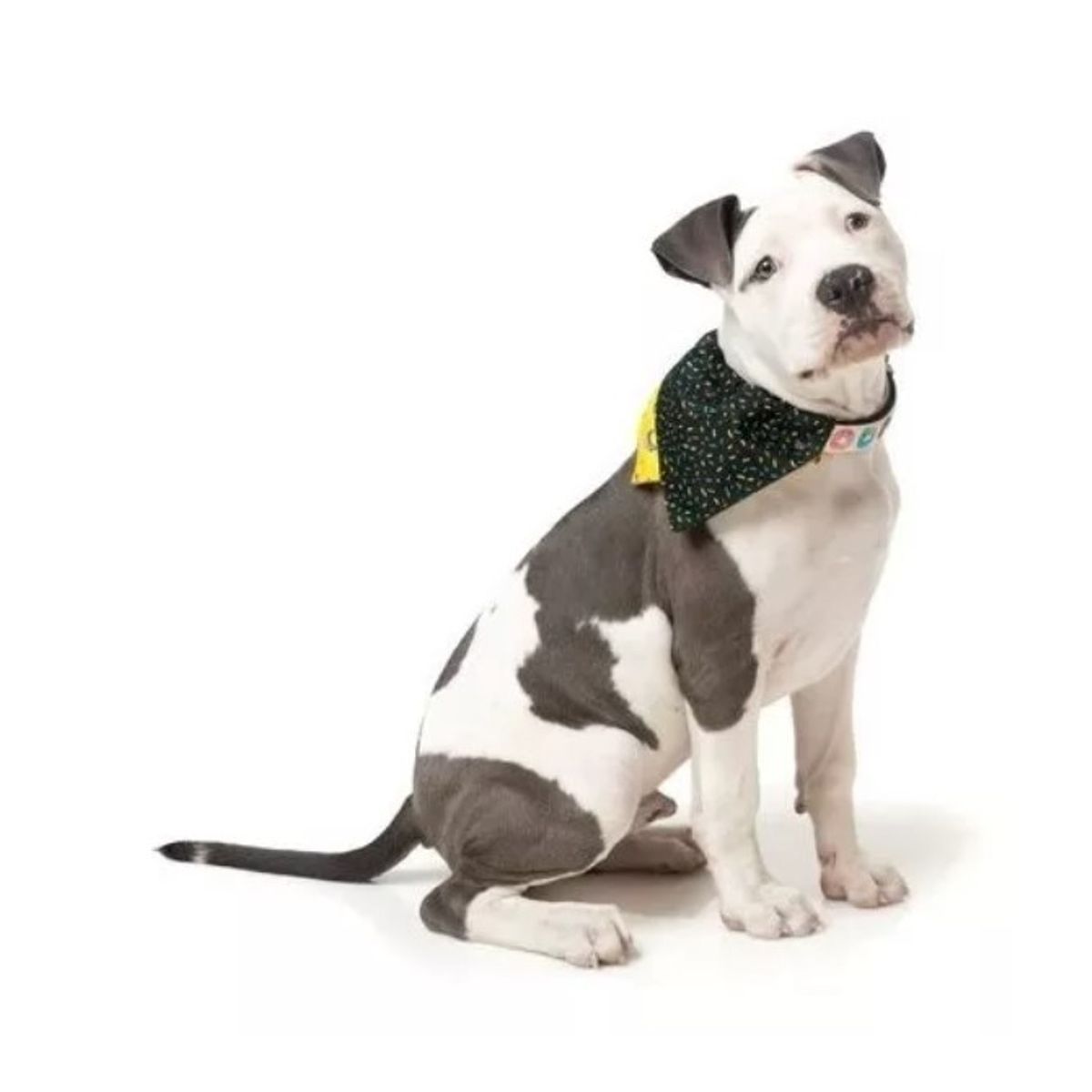 GENERICO - Ropa Para Perro Fuzzyard Bandana L Amarillo