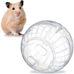 GENERICO - Esfera Hamster roedores transparente 16cm 30881
