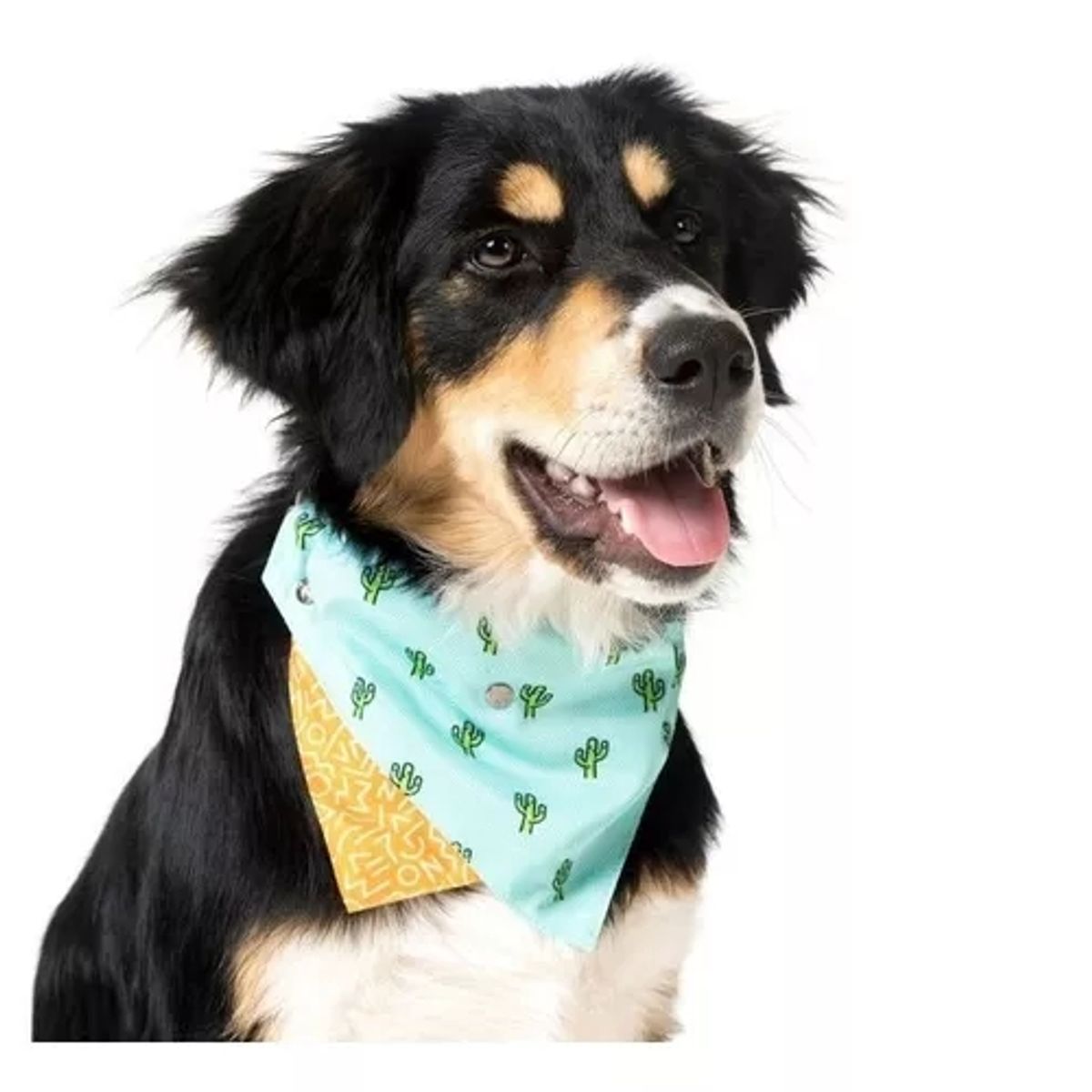 GENERICO - Ropa Para Perro Fuzzyard Bandana L color tucson