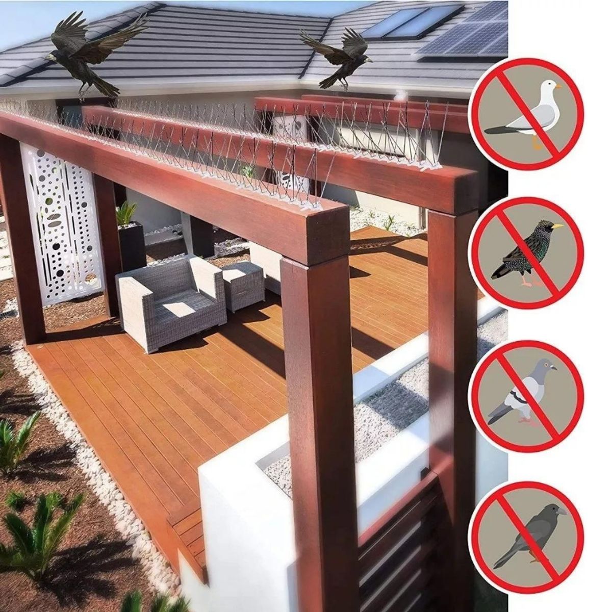 GENERICO - Pack 10 Púas Repelentes Palomas Anti Aves Ahuyentador