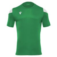 Polera Polis Hombre Verde