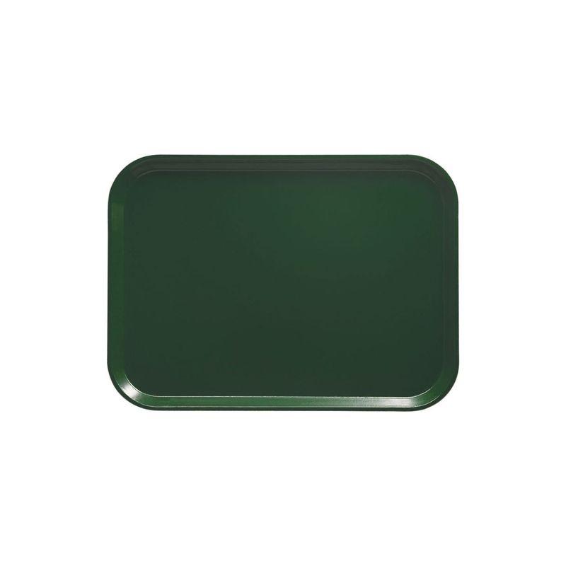 IMAHE - Bandeja Fibra De Vidrio Verde IMAHE