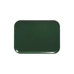 IMAHE - Bandeja Fibra De Vidrio Verde