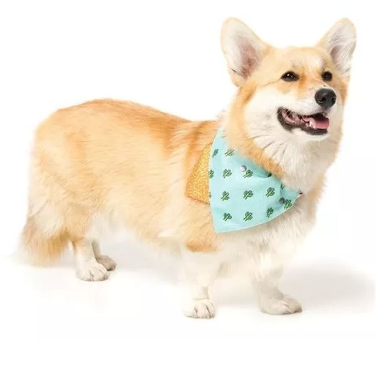 GENERICO - Ropa Para Perro Fuzzyard Bandana Reversible 2en1 Talla S  M