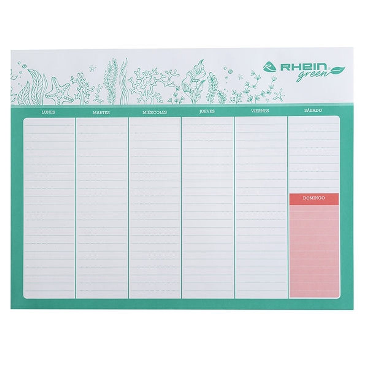 RHEIN - Planner Planificador Semanal De Escritorio 24 hjs Grande