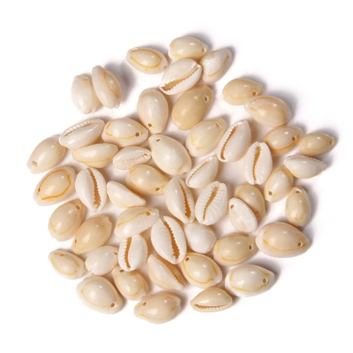 GENERICO - Bolsa 100 Conchitas Cauri Pure Blanco