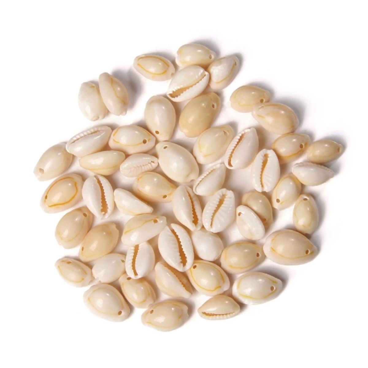 GENERICO - Bolsa 100 Conchitas Cauri Pure Blanco