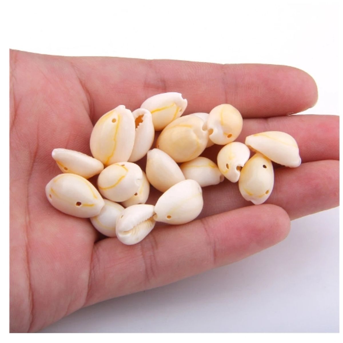 GENERICO - Bolsa 100 Conchitas Cauri Pure Blanco