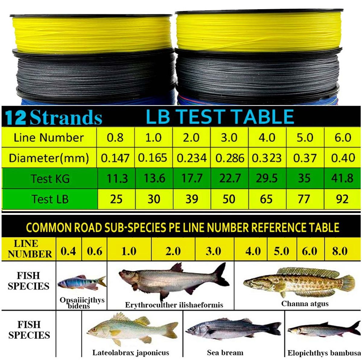 GENERICO - Hilo Pesca, 12 Hebras 0.16mm 100mt, Multifilamento Jof-líne