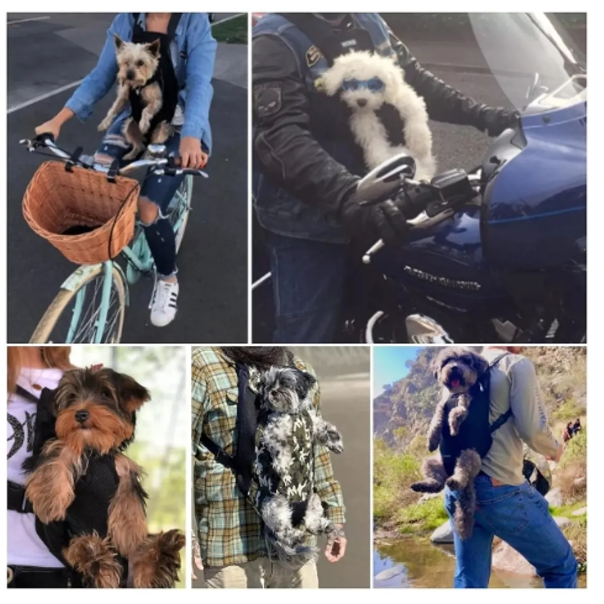 GENERICO - Mochila Transportes Cómodo Salir Para Perro Gato Negro M