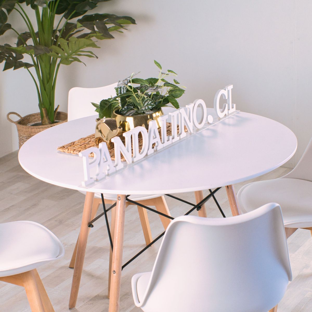 PANDALINO - Comedor Mesa Redonda Estela Blanca 80cm + 4 Sillas Tulip Blanco