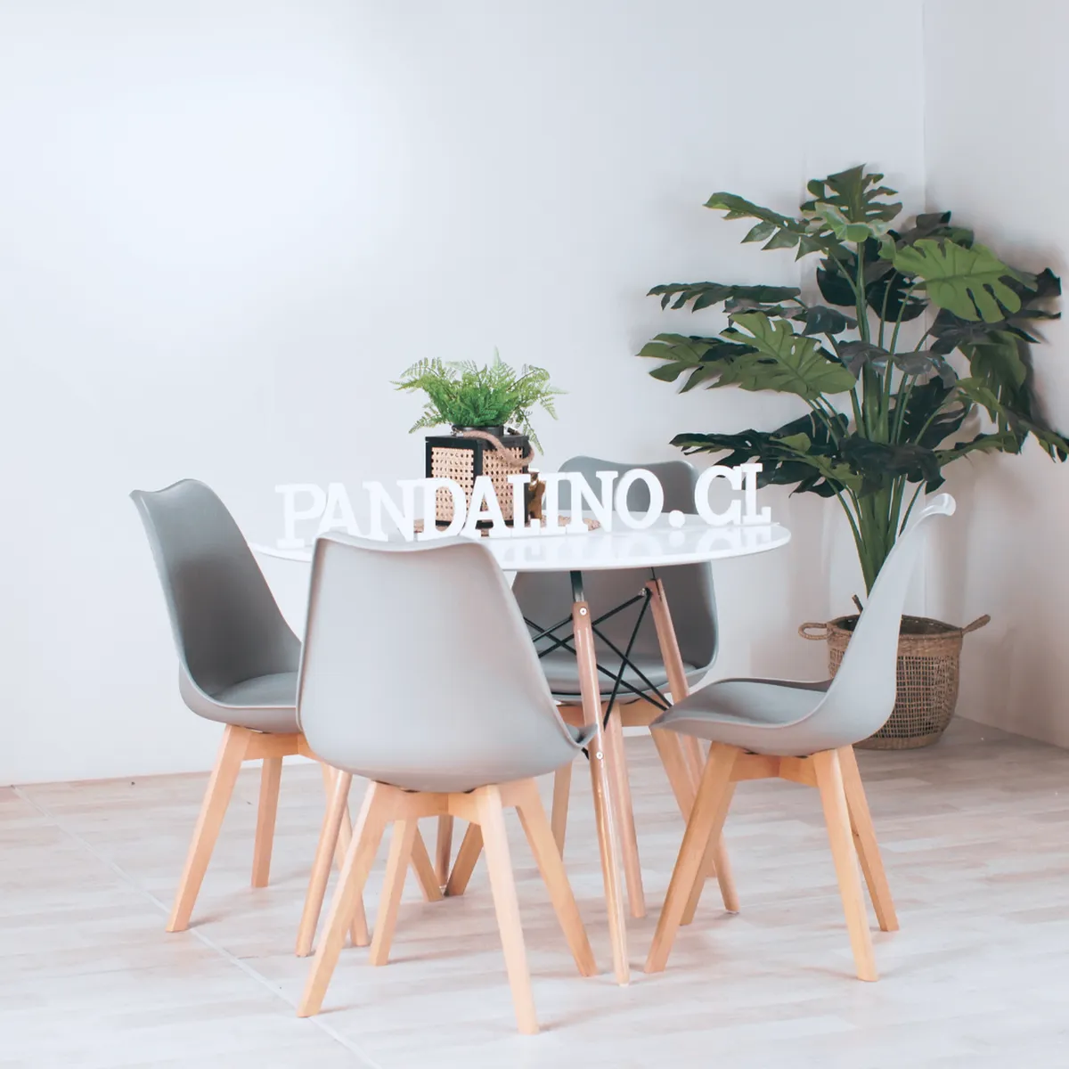 PANDALINO - Comedor Mesa Redonda Estela Blanca 80cm + 4 Sillas Tulip Gris