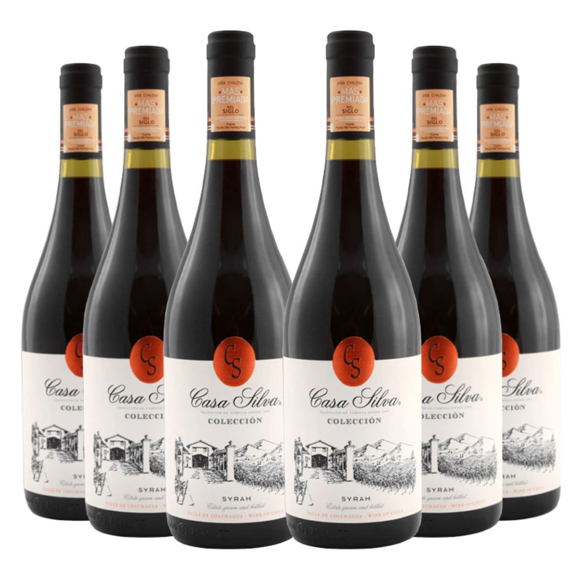 CASA SILVA - 6 Vinos Casa Silva Coleccion Syrah