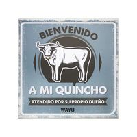 Cuadro Bar Metálico 25x25 Beer Quincho Parrilla Bbq