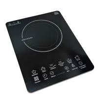 Encimera de Inducción Eléctrica 1 Plato (Electrum)