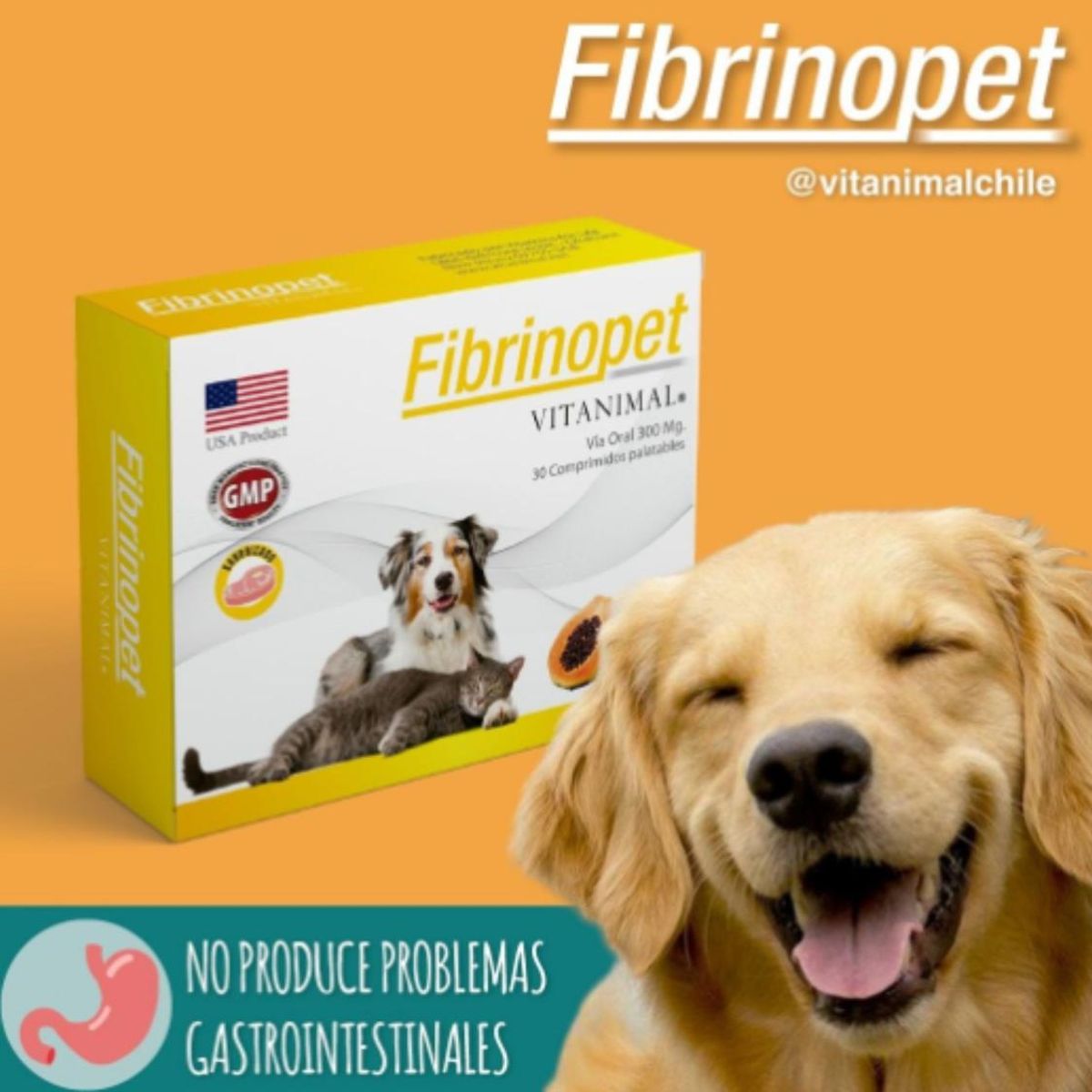 GENERICO - Suplemento Fibrinopet 10 Comprimidos