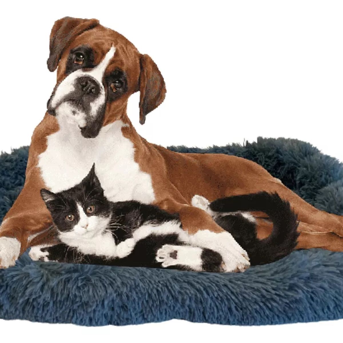 GENERICO - Cama Antiestrés Rectangular  110 Cm, Xxl