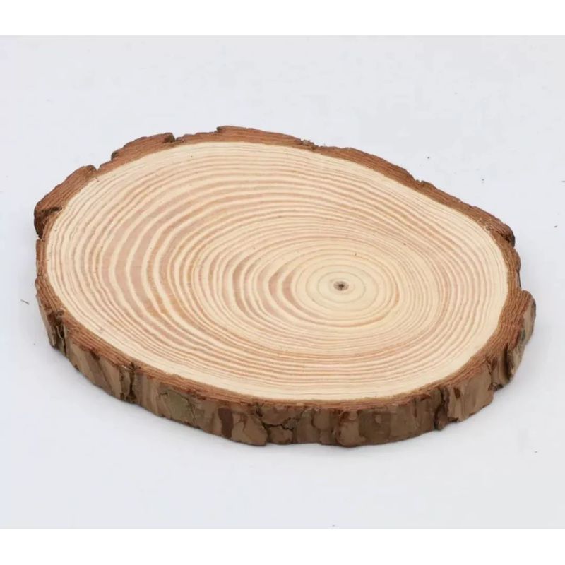 MOTARRO - Trozo De Madera De 18 A 20 cm Rodelas/tronco Grande Artesan