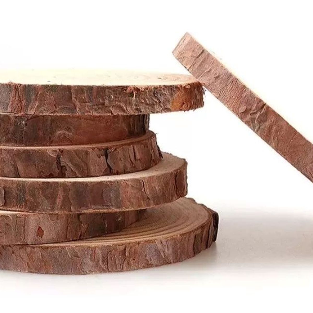 MOTARRO - Trozos De Madera 6 Piezas De 10 A 11 Cm Rodelas/tronco