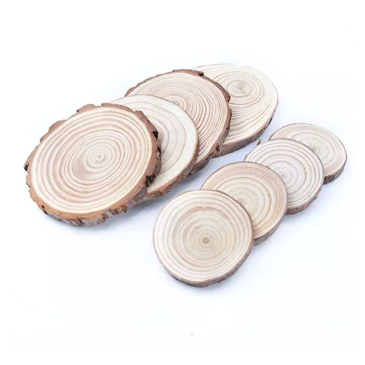 MOTARRO - Trozos De Madera 6 Piezas De 1 A 3 Cm Rodelas