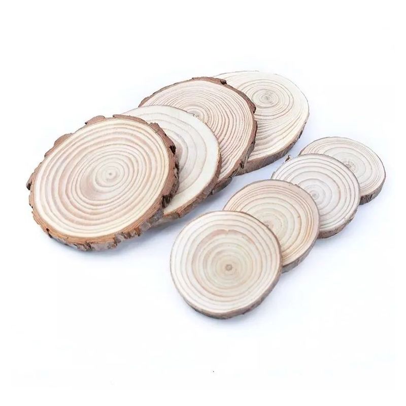 MOTARRO - Trozos De Madera 6 Piezas De 1 A 3 Cm Rodelas