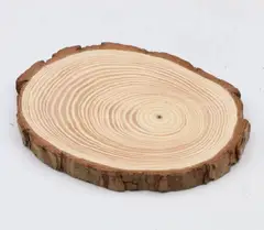 MOTARRO - Trozos De Madera 2 Piezas De 17 A 18 Cm Rodelas/tronco