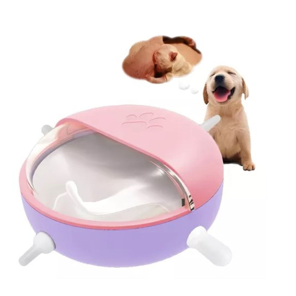 GENERICO - Bebedero Alimentador Leche Mascotas Gato Perro Cuenco Rosa