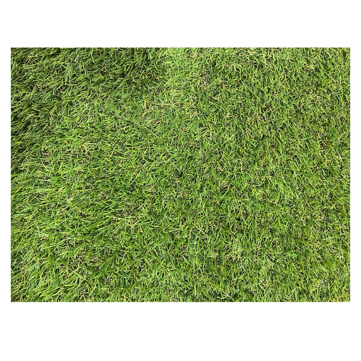 LORENZINI - Pasto Alfombra Sintetico 25mm Premium 2X2