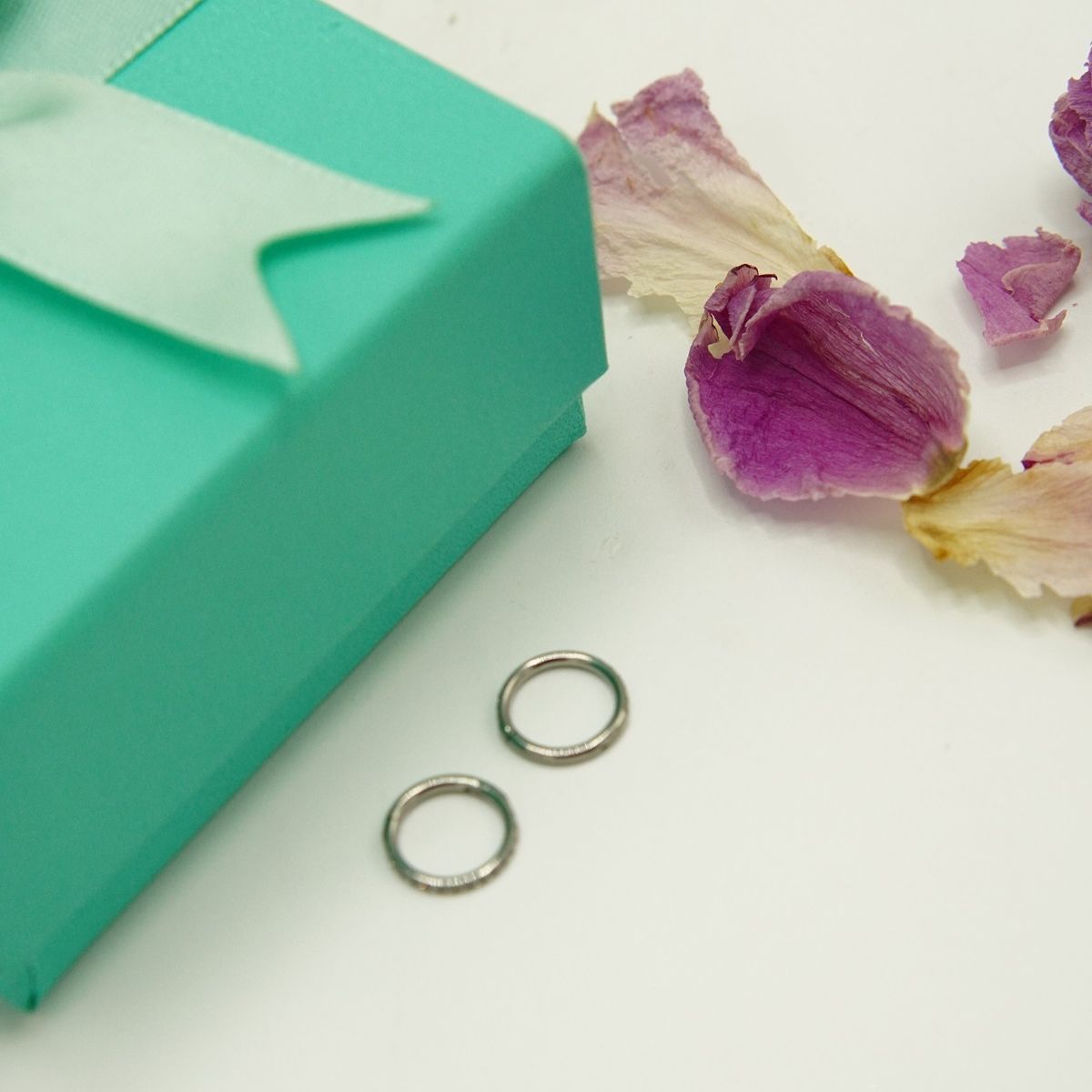 ELBAULDEJUMA - Argollas Huggies 10mm 16g Titanio F136 Zirconia Plateadas