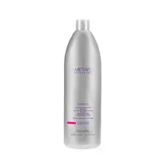 FARMAVITA - Shampoo Color Amethyste 1000ml Restaura Protege Brillo