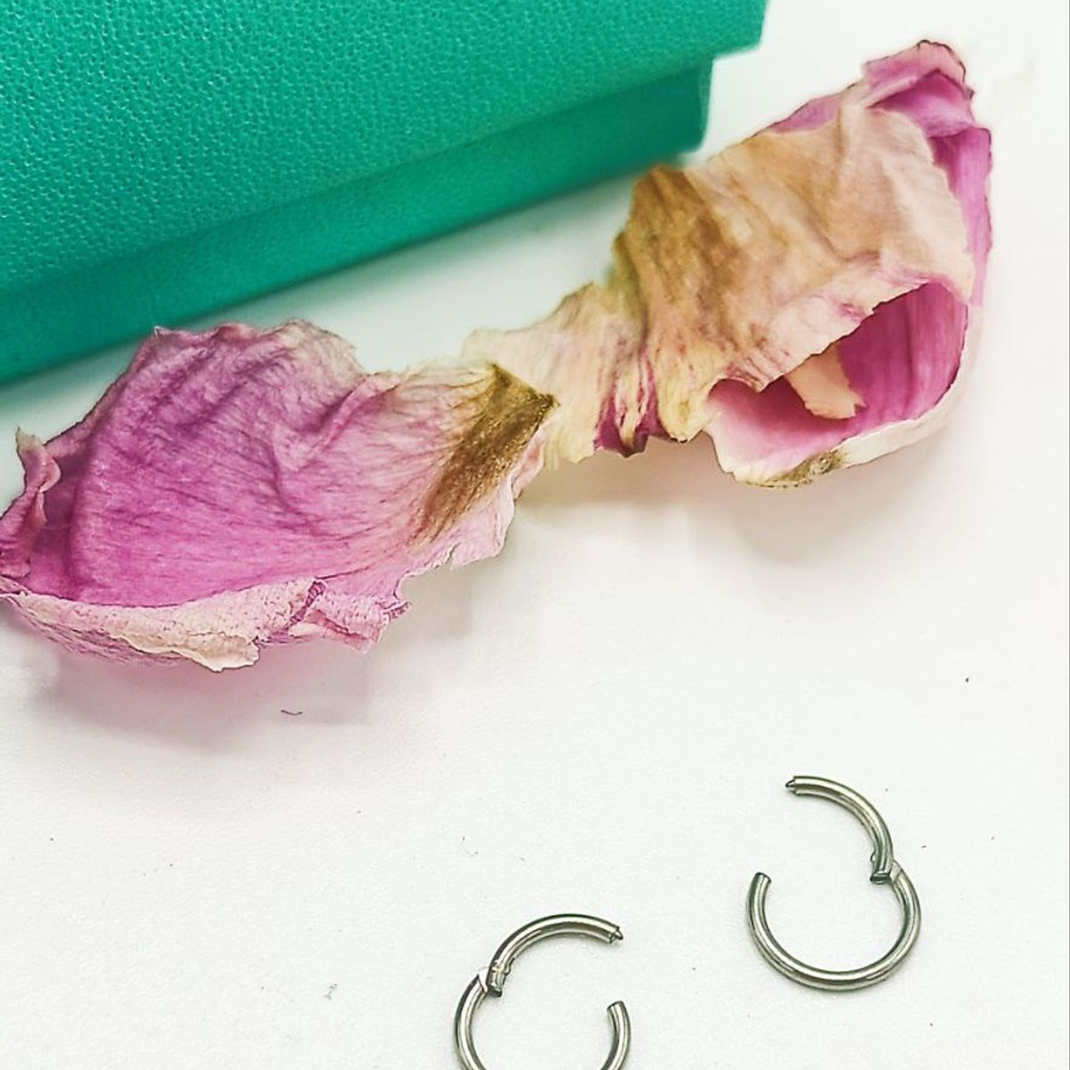 ELBAULDEJUMA - Argollas Clicker 6mm 20g Acero Quirurgico Plateadas Ligeras