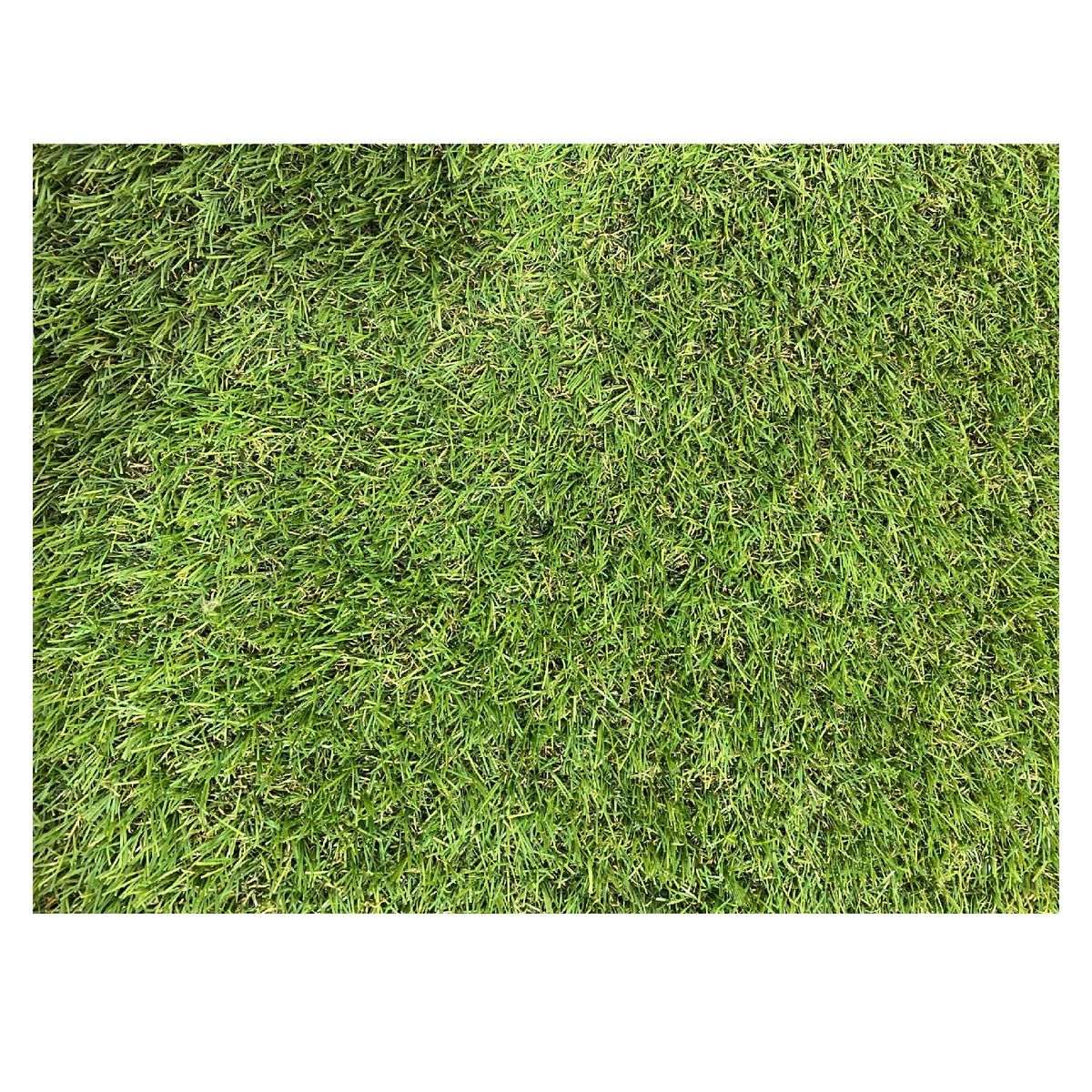 LORENZINI - Pasto Alfombra Sintetico 25mm Premium 2X1