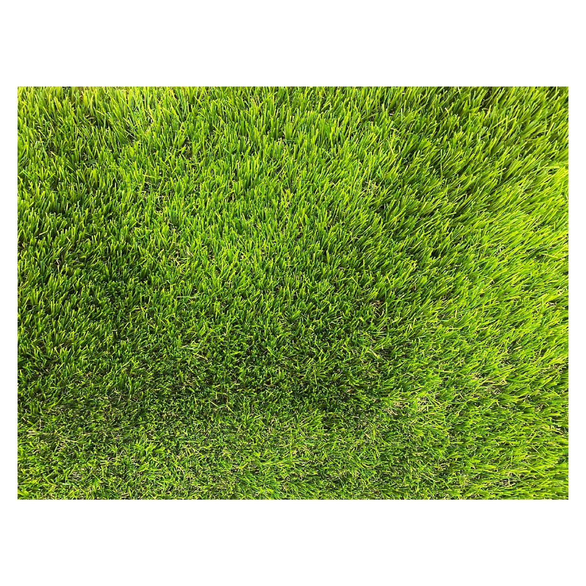 LORENZINI - Pasto Alfombra Sintetico 40mm Royal 4X3