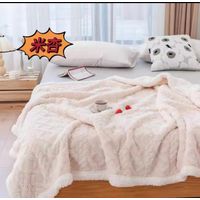 Frazada Polar - Manta termica con Chiporro 2 plazas Blanco Invierno