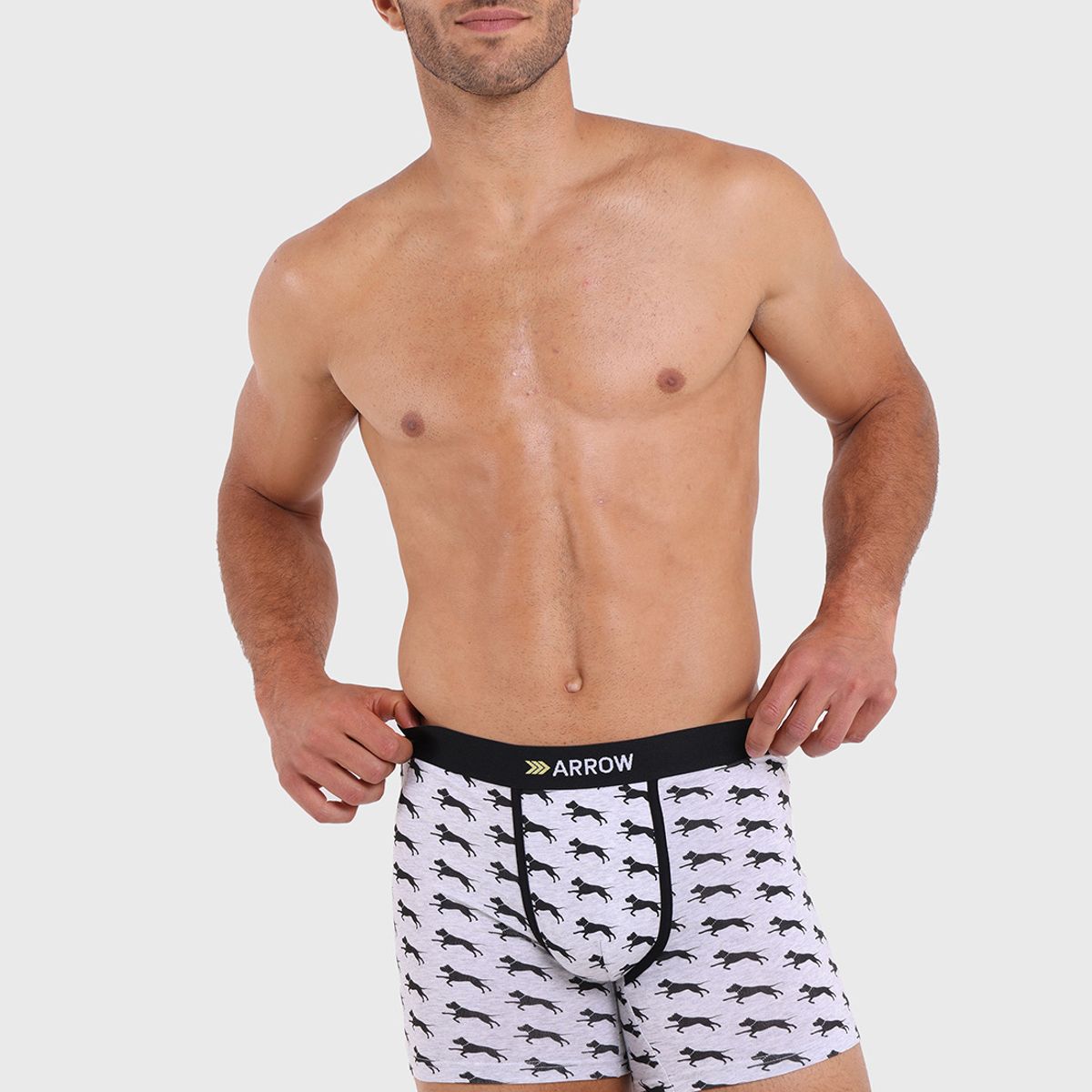 ARROW - Boxer 4 Unidades Design Arrow ARROW