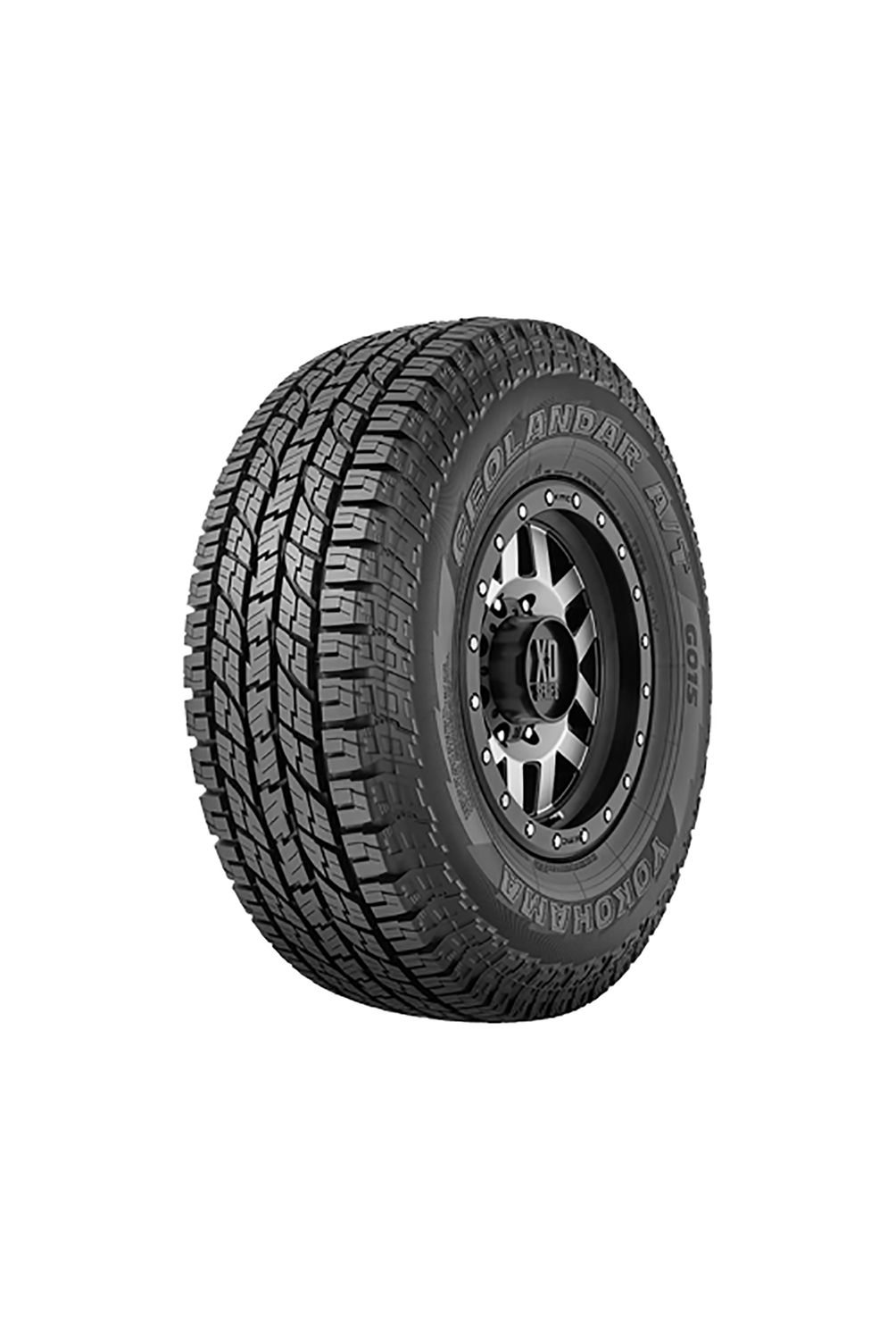 w=1004,h=1500,fit=pad