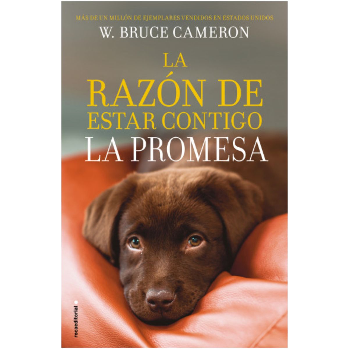 ROCA EDITORIAL - La Razon De Estar Contigo La Promesa