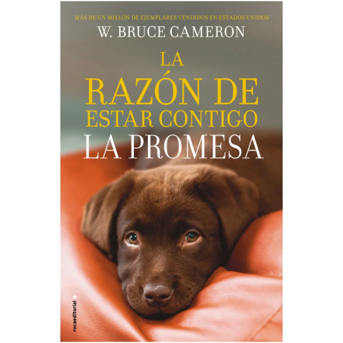 ROCA EDITORIAL - La Razon De Estar Contigo La Promesa