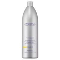 Shampoo Amethyste Regulate 1000ml Limpia e Hidrata