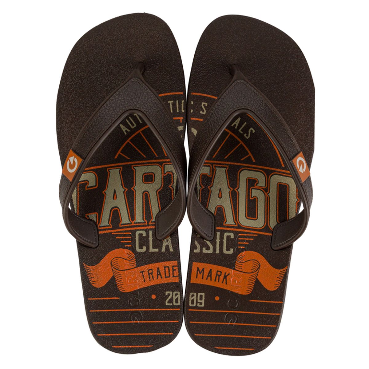 CARTAGO - Sandalia Hombre Café dakar Cartago