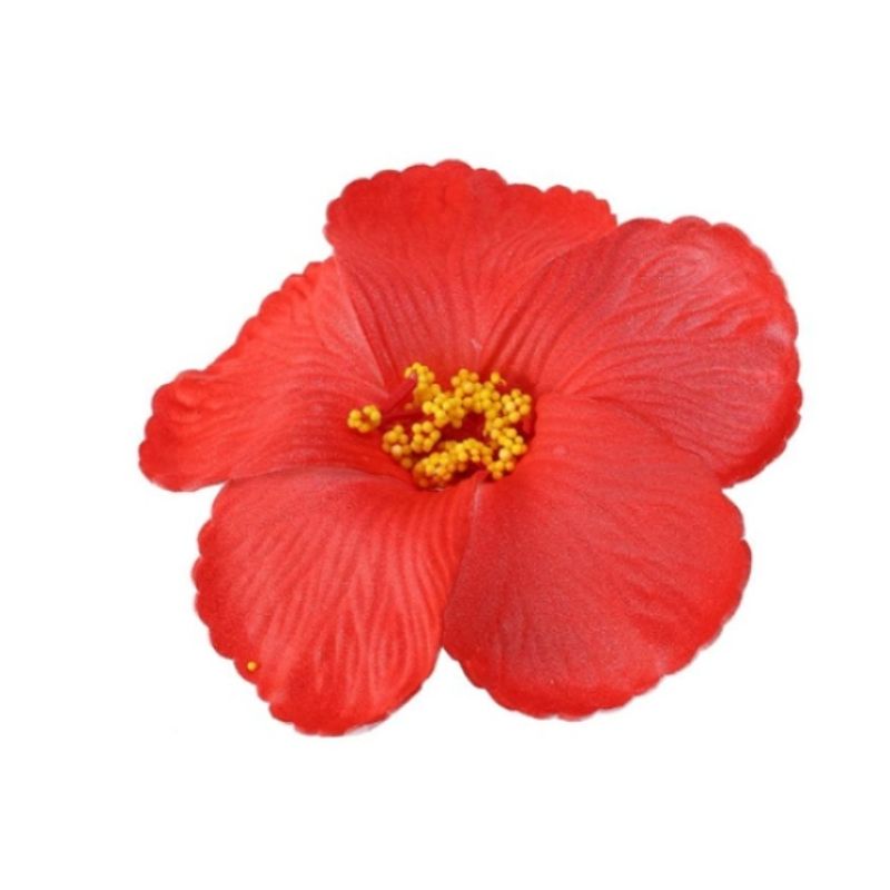 GENERICO - Flor Hibisco Rojo Con Pinza Para El Cabello