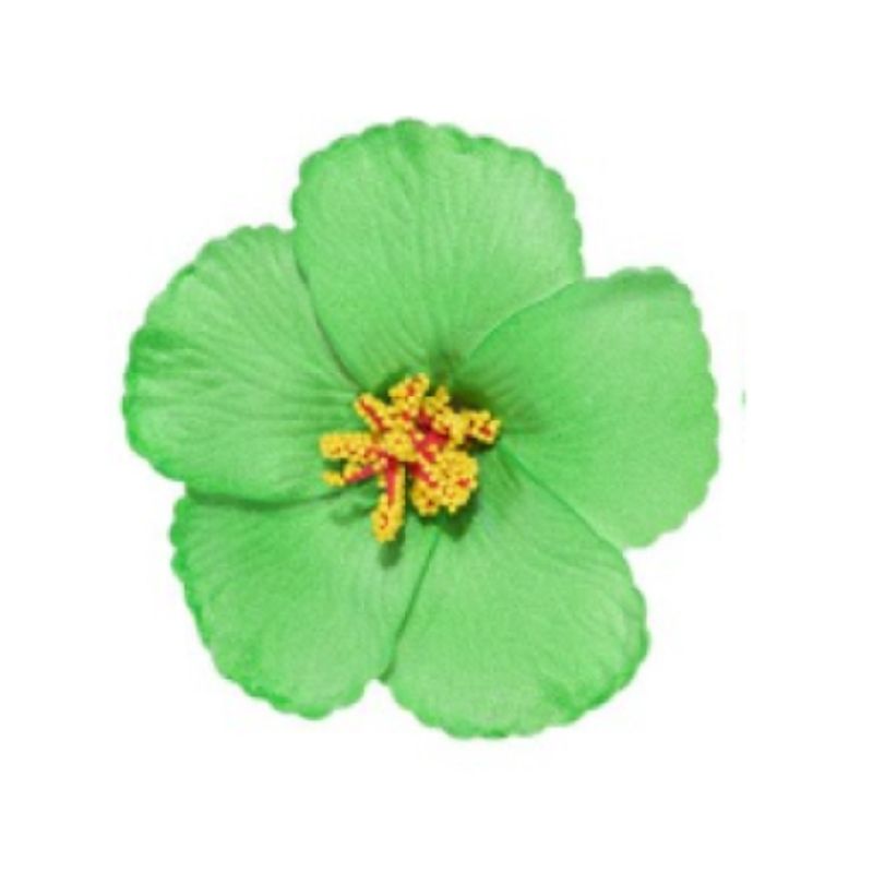 GENERICO - Flor Hibisco Verde Con Pinza para el cabello
